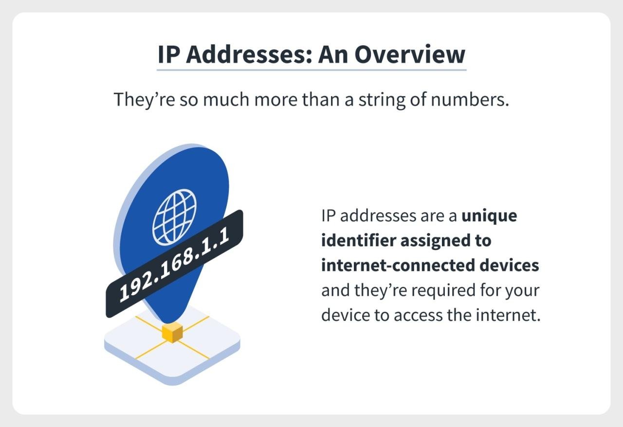 What is an IP address, how is it used and where to find yours