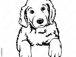 Black Bow Jewelry Coupon Exclusive Deals Await You