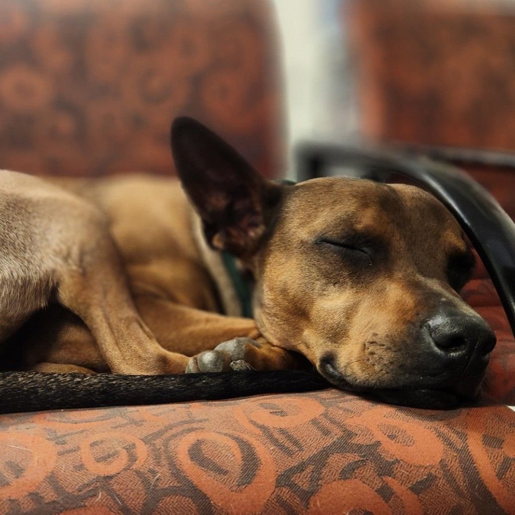 ATLAS | Facebook ATLAS | Facebook