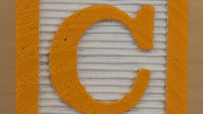 Educational Brick Letter C | Leo Reynolds | Flickr