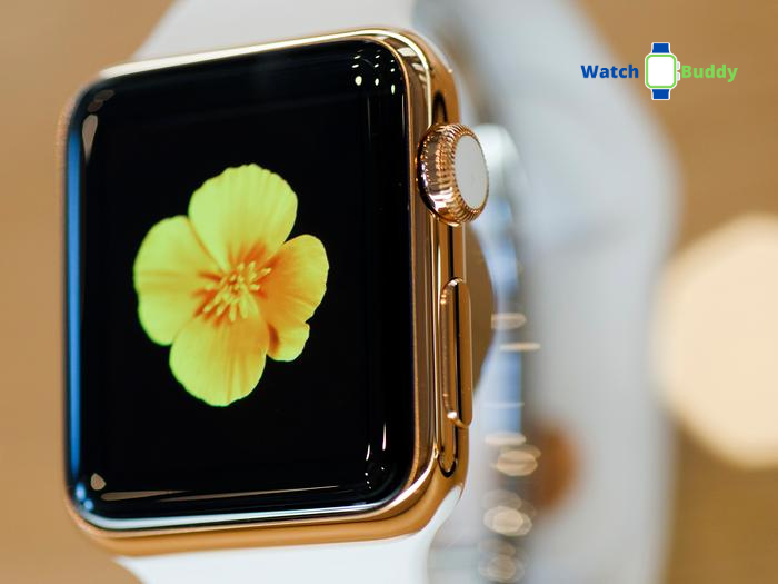 Top 5 Best Premium Smartwatches In 2023 | WatchBuddy Top 5 Best Premium Smartwatches In 2023 | WatchBuddy