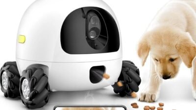 Pet Friendly Rehab Near Me Discover The Best Options