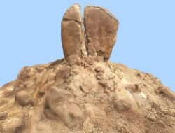 Rock N Roll Denim Jacket A Timeless Style Statement