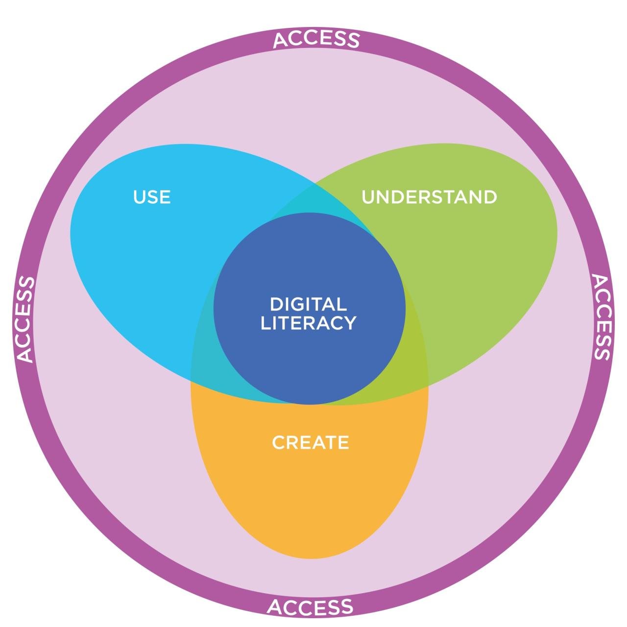 How digital literacy can help close the digital divide How digital literacy can help close the digital divide