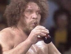 andre assous shoes Elevate Your Style and Comfort