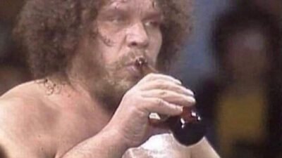 andre assous shoes Elevate Your Style and Comfort