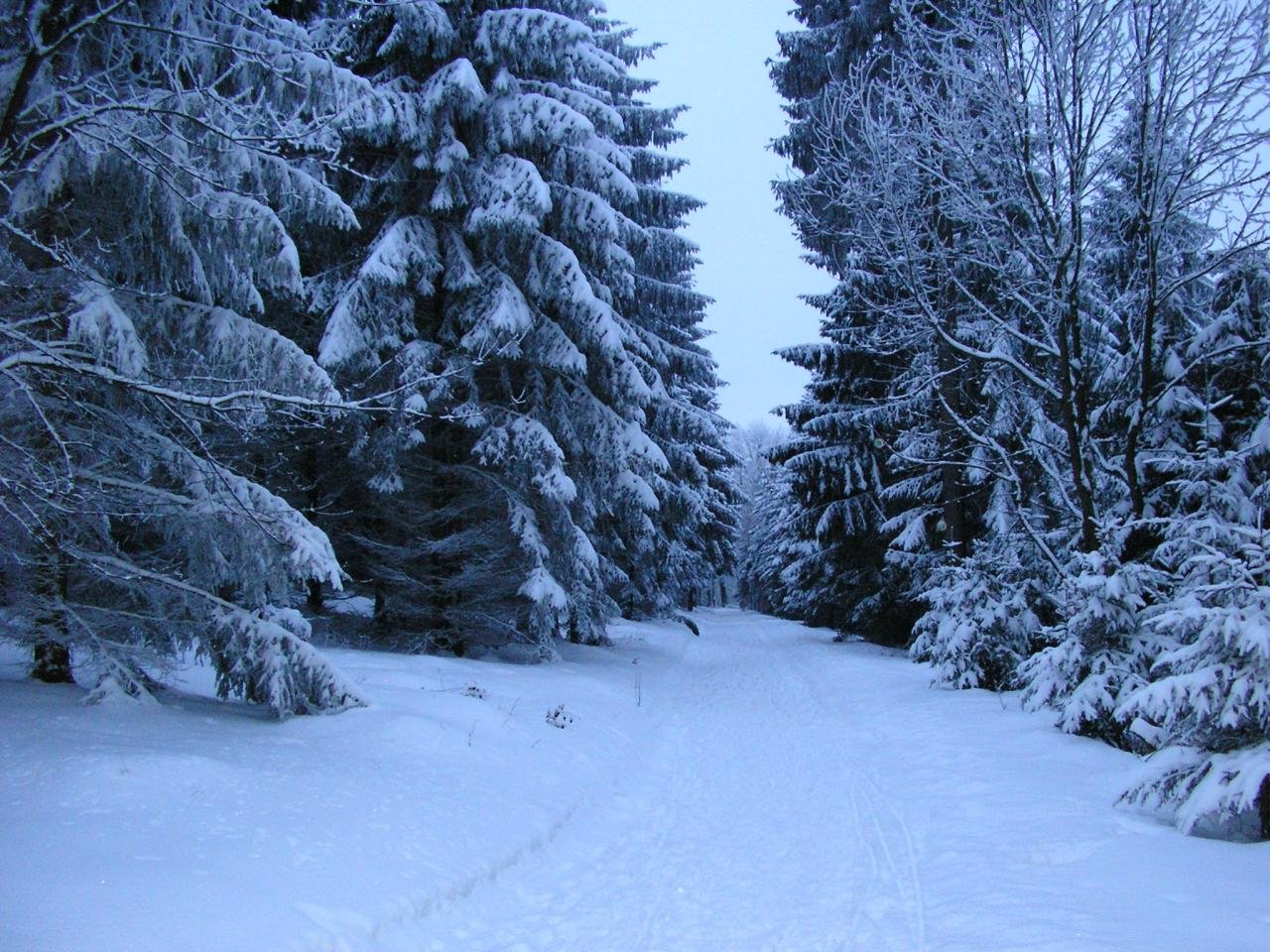File:Falk Oberdorf Wiehengebirge Winter Heidbrink.JPG - Wikimedia Commons File:Falk Oberdorf Wiehengebirge Winter Heidbrink.JPG - Wikimedia Commons