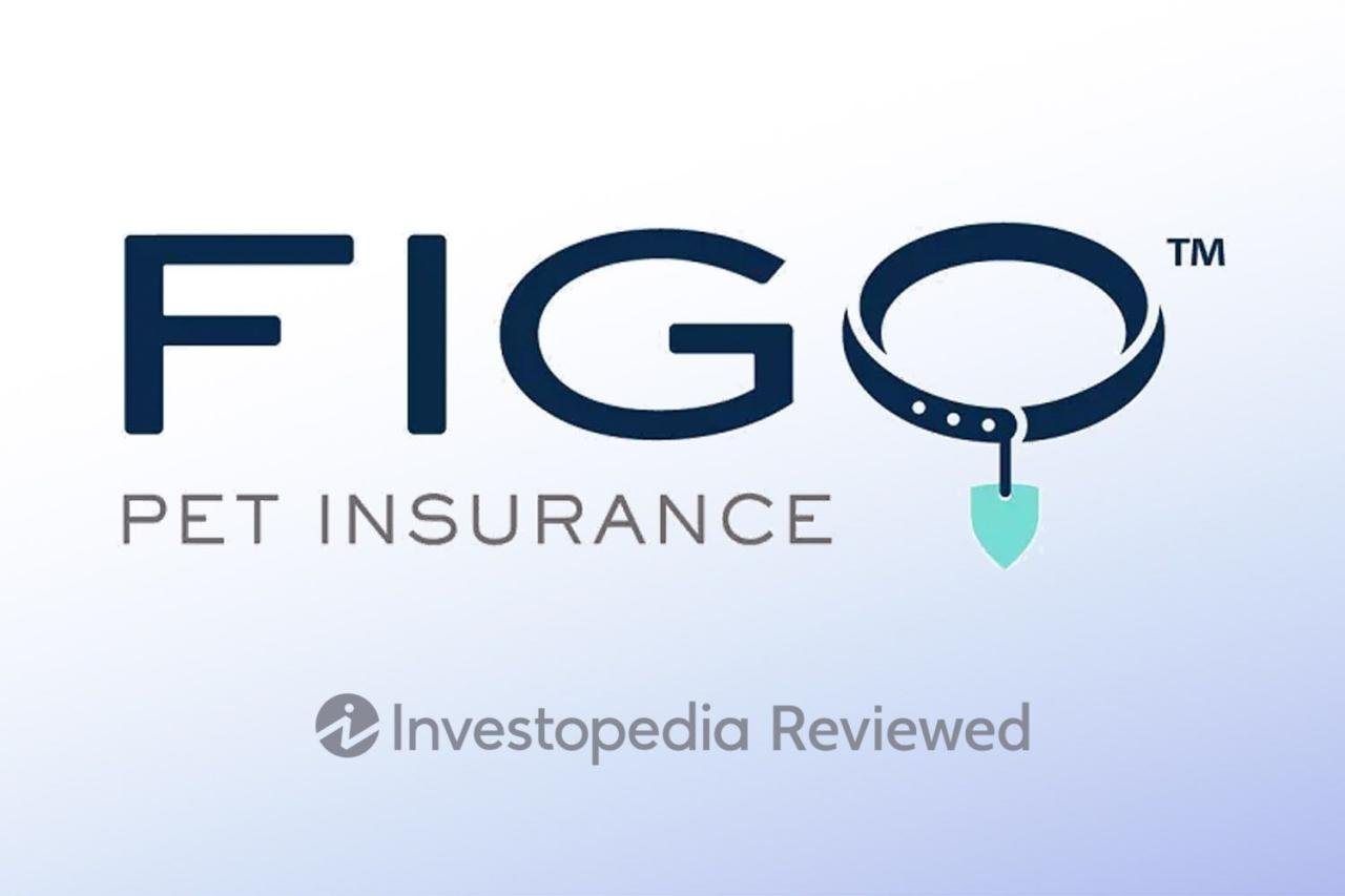 Figo Pet Insurance Review | Dog Advisory Council