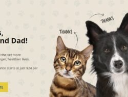 Get A Quote Pet Insurance For Your Furry Friend Today