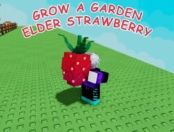 Get Medical Coding Certificate Online For Your Future