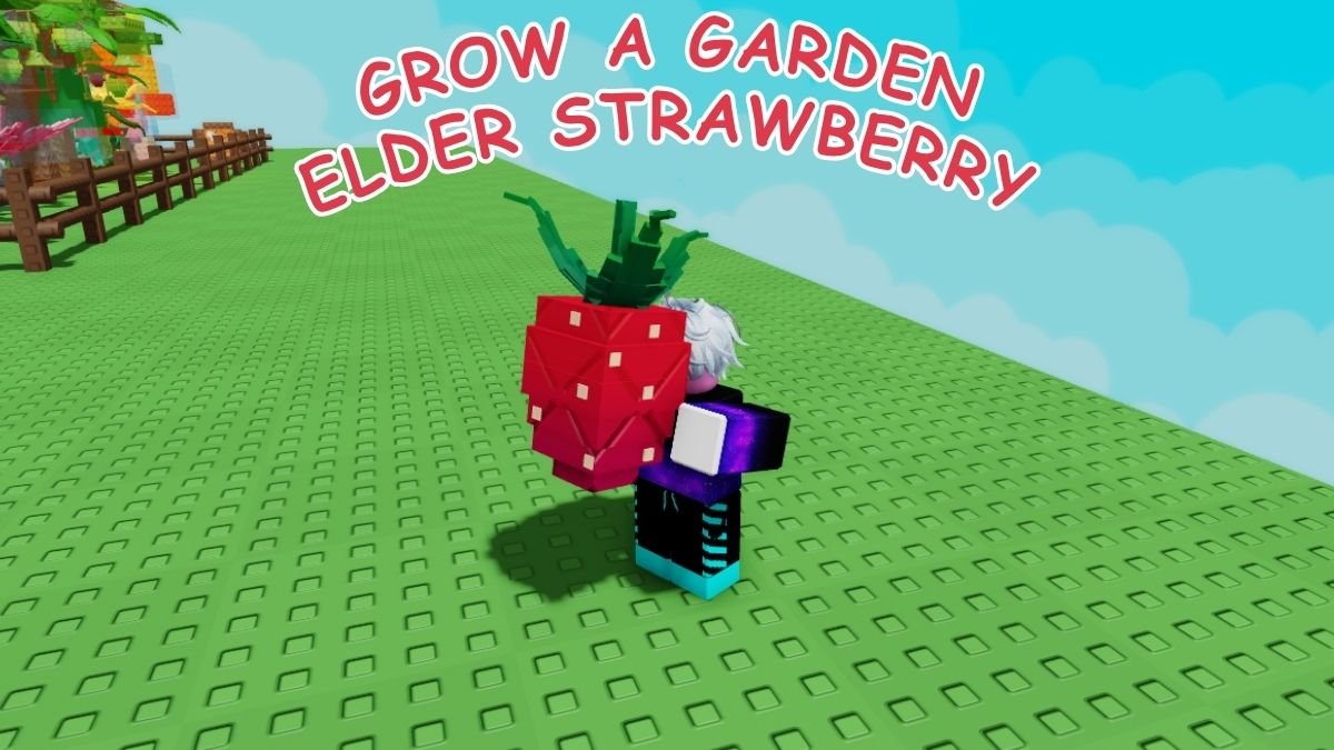 How to Get Elder Strawberry in Grow a Garden | Beebom How to Get Elder Strawberry in Grow a Garden | Beebom