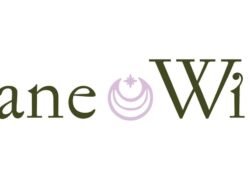 Where To Buy Jane Win Jewelry The Ultimate Guide