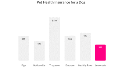 How Much Does Pet Insurance Cost? Lemonade Guide