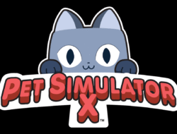 Pet Friendly Rehab Centers Near Me For A Better Life