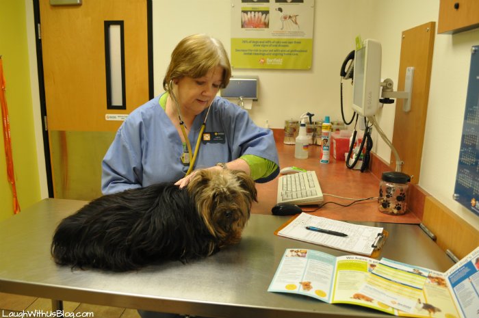 Banfield Coupon 2024 - Minna Sydelle