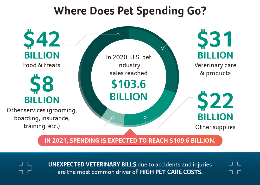 Top Rated Pet Insurance Companies of 2025 | Consumer Rating