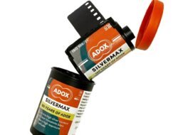 amax silver Elevating Your Translation Experience