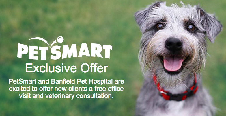 Banfield Pet Hospital: FREE Exam and Consultation! - ModMomTV