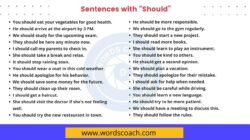 200+ Sentences with Should - Word Coach