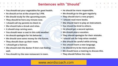 200+ Sentences with Should - Word Coach