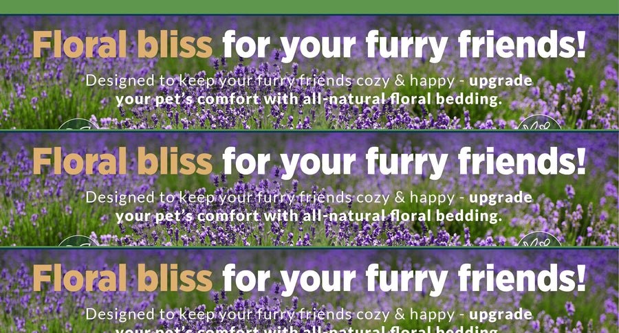 Small Pet Select Wholesale – Small Pet Select U.S. - Wholesale