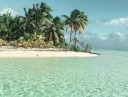 Clear Caption Phone Price Unlocking Communication Potential