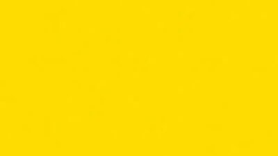 Yellow jacket exterminators near me