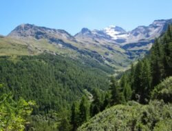 alp n rock jacket Elevate Your Outdoor Style