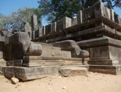 Ancient Greek Sandals Promotion Code Exclusive Offers