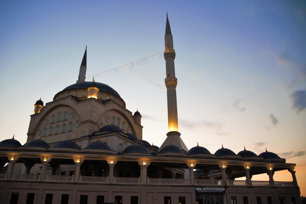 Category:All Categories - easy_to_read_pictures