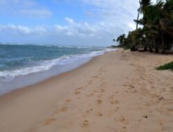 Beaches Sandals Barbados The Ultimate Vacation Experience