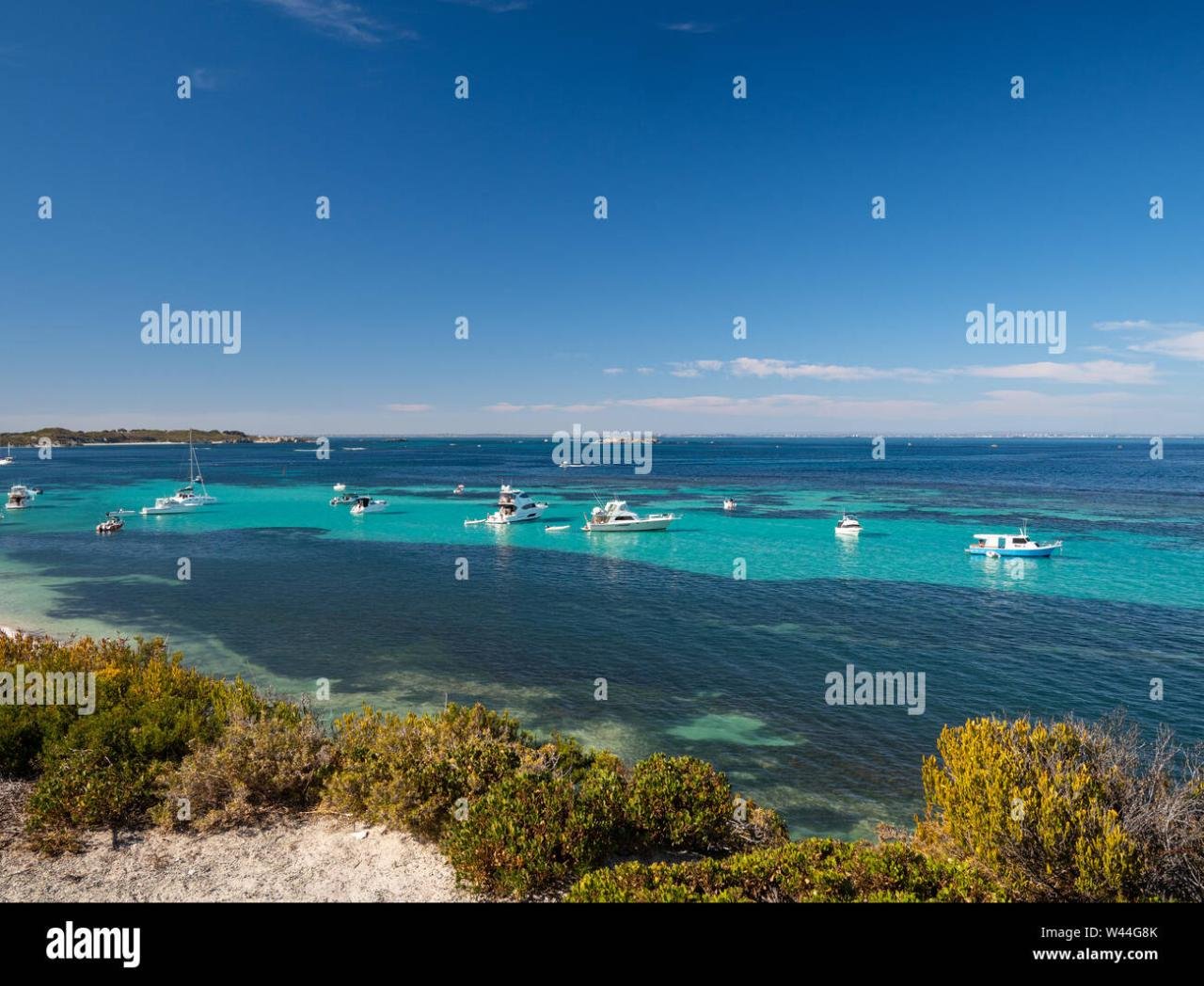 Effective Coaching Models to Help Your Team Grow - Shiftbase Effective Coaching Models to Help Your Team Grow - Shiftbase