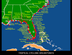 List my property and elevate your real estate game