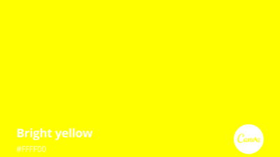 Yellow Jacket Nest Removal Near Me Effective Solutions