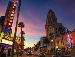 california pet pharmacy coupon – Save on Pet Care Today