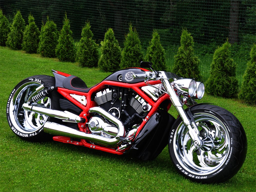 New Custom Built Harley Davidson - vrogue.co New Custom Built Harley Davidson - vrogue.co