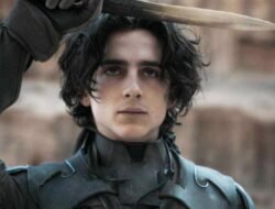 Dune Jewelry Coupon Code Exclusive Offer Awaits You