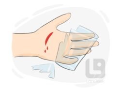 Cut Resistant Jacket The Ultimate Safety Solution