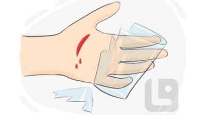 Cut Resistant Jacket The Ultimate Safety Solution