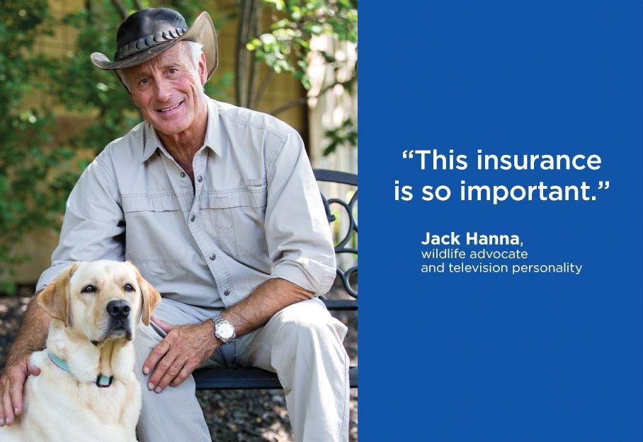 Slide 3 | Pet insurance, Pet vet, Best pet insurance