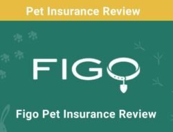 Figo Pet Insurance Promo Code Unlocks Your Pets Care