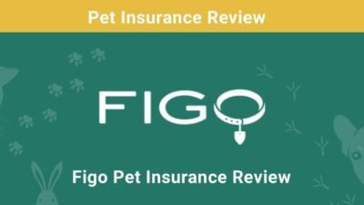 Figo Pet Insurance: Peace Of Mind For Your Pet - The Broke Dog