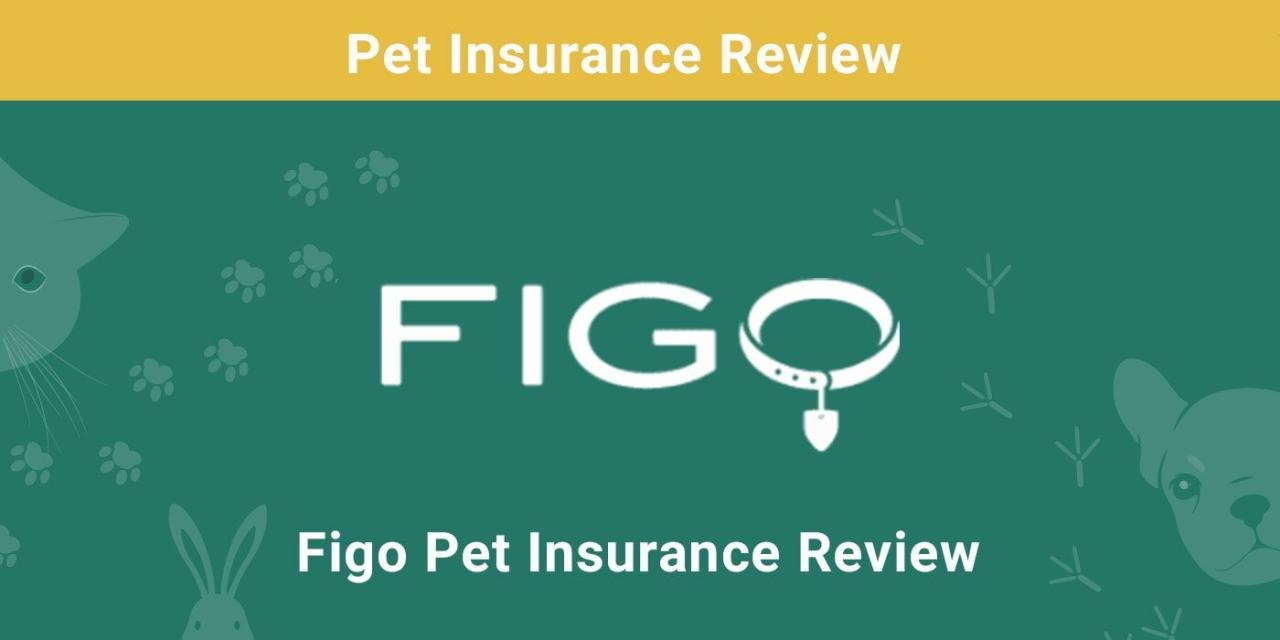 Figo Pet Insurance: Peace Of Mind For Your Pet - The Broke Dog