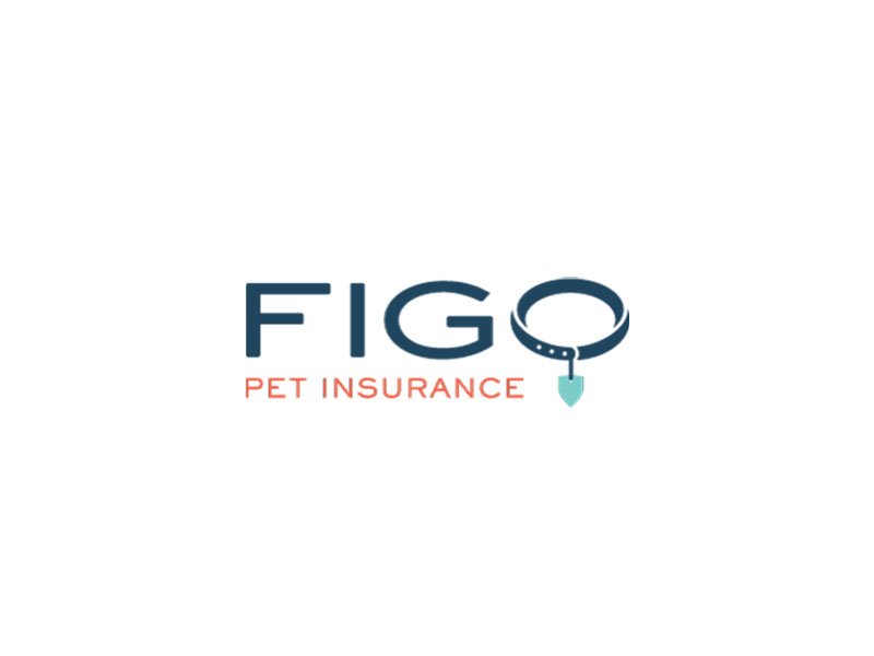 Figo Pet Insurance Review | Get Free Quote
