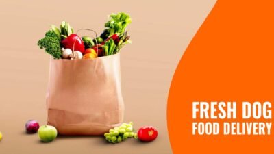 Fresh Pet Food Delivery For Happy Healthy Pets