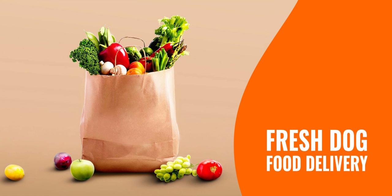 Fresh and Convenient: Top 10 Dog Food Delivery Services Ranked and ...