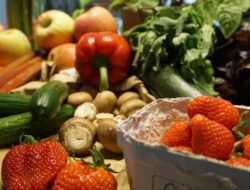 Purchasing real estate leads for successful sales