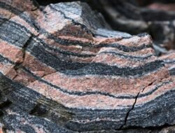 Rock And Roll Denim Jacket For The Daring Fashionista