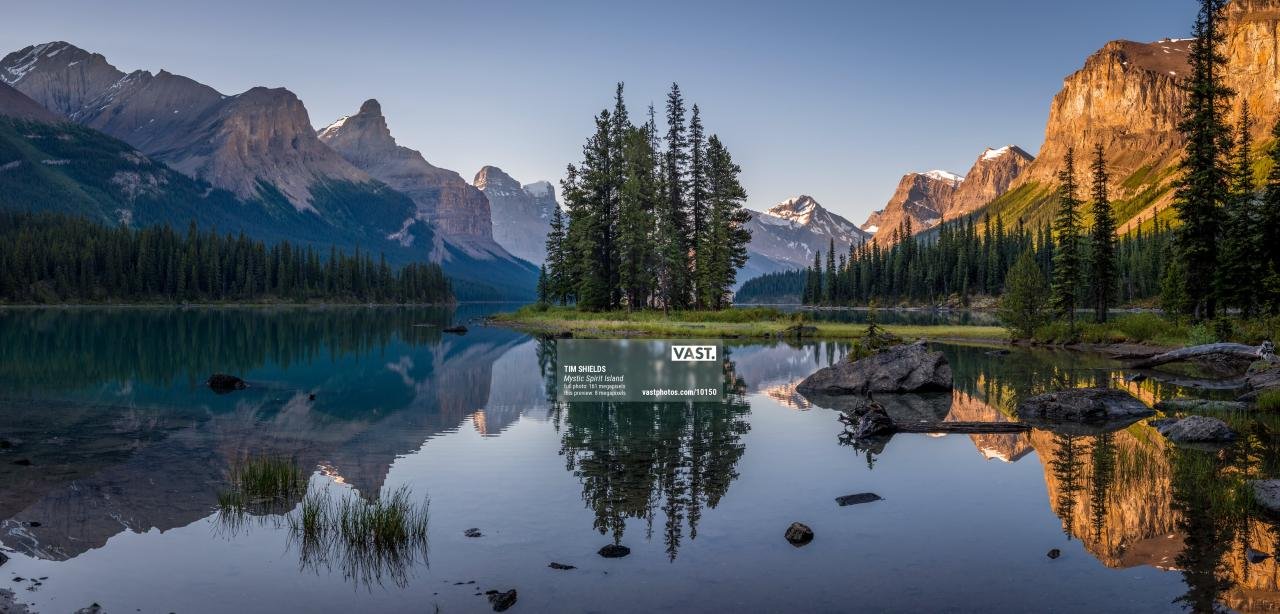 Big Animal Elephant Pic Download | HD Wallpapers