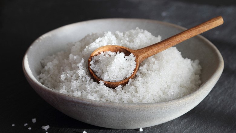 Everything You Need To Know About Salt Everything You Need To Know About Salt